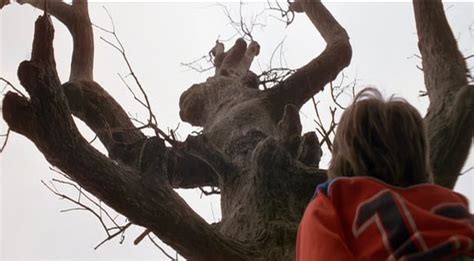 The Scariest Tree In Cinema History? (Poltergeist 1982) : 80s