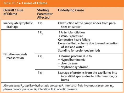 The Circulation - Physiology - An Illustrated Review