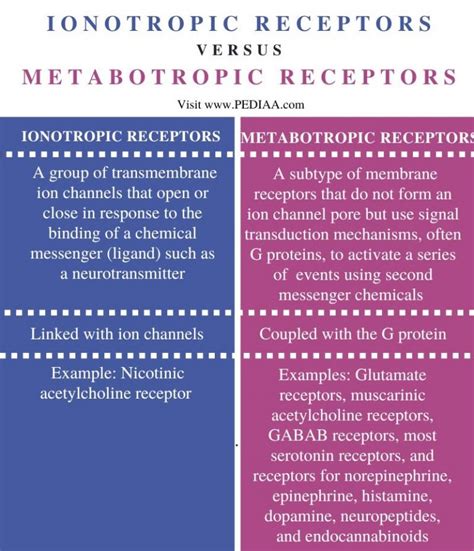 What is the Difference Between Ionotropic and Metabotropic Receptors ...