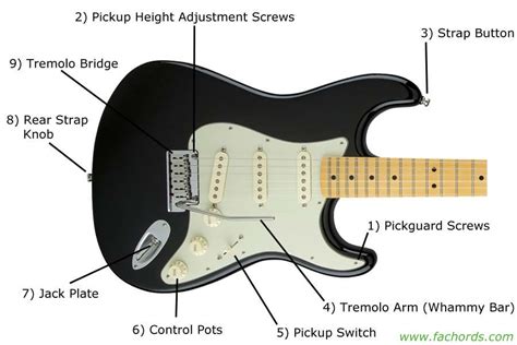 Guitar Parts Names: Know The Parts Of Electric Guitar