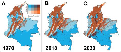 Colombia, a global biodiversity hotspot, faces rising threats to bird species from expanding ...