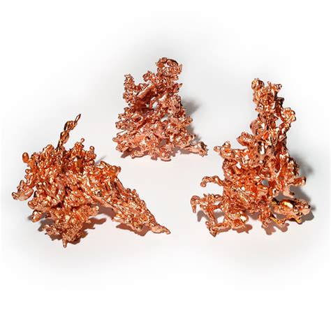 Copper Sculpture | Evolution Store