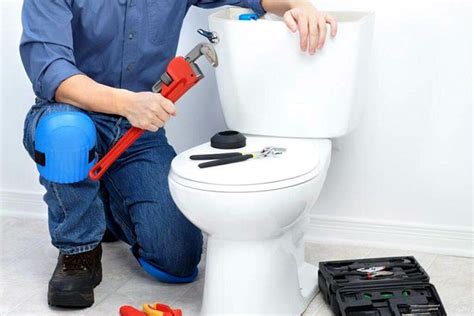 Toilet Repair Service