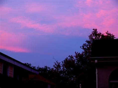 angels and people, life in New Orleans: pink clouds