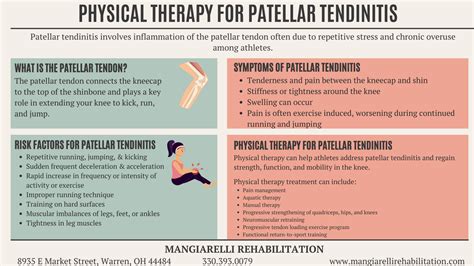 Physical Therapy for Patellar Tendinitis Infographic-Mangiarelli Rehabilitation