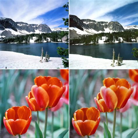 My 2020 lockdown journey: a comparative test of Kodak EKTACHROME E100 and Fujifilm Velvia 50 ...