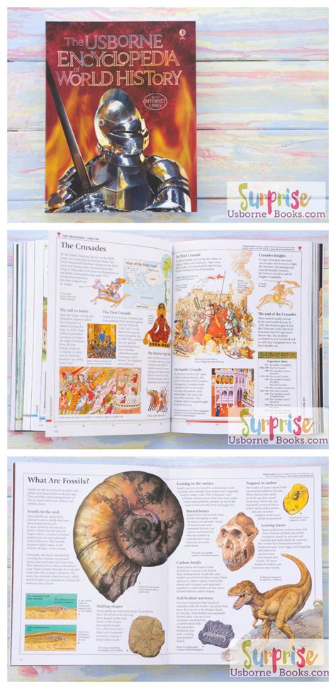 Usborne Encyclopedia of World History - Surprise Usborne Books