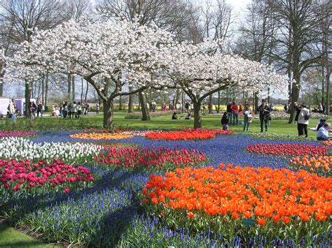 14 Reasons to visit the Netherlands in Spring! - Netherlands Tourism