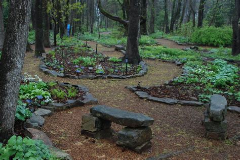 Shade. Love this! Wooded/shade garden ideas! | Backyard garden diy, Urban backyard, Wooded ...