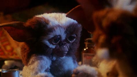 Gremlins Gizmo Wallpaper (72+ images)