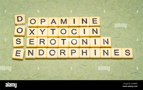 DOSE - dopamine, oxytocin, serotonin and endorphins, happiness brain chemicals, chemistry and ...