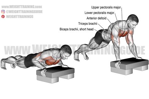 Incline push-up exercise instructions and video | Weight Training Guide | Chest workouts, Best ...