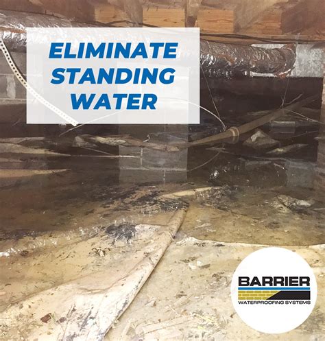 Eliminate Standing Water From Your Home| Barrier Waterproofing Systems