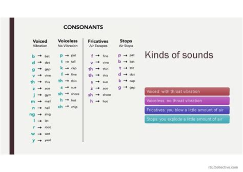 💌 Voiced consonants. The 24 consonant sounds in English with examples. 2022-10-31