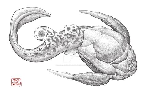 Bothriolepis by aaronjohngregory on DeviantArt