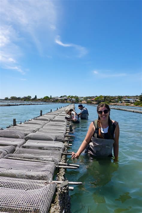 Coffin Bay Oysters: The Best Oyster Farm Tour on the Eyre Pensinsula ...