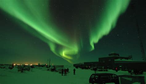 Two Northern Lights Perspectives - Churchill Polar Bears