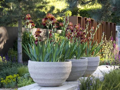 19 Ways to Use Large Garden Containers | Large garden pots, Large ...