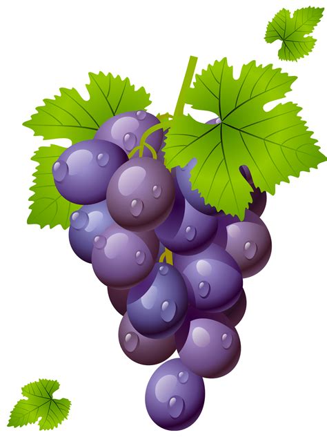 Free Red Grapes Cliparts, Download Free Red Grapes Cliparts png images, Free ClipArts on Clipart ...