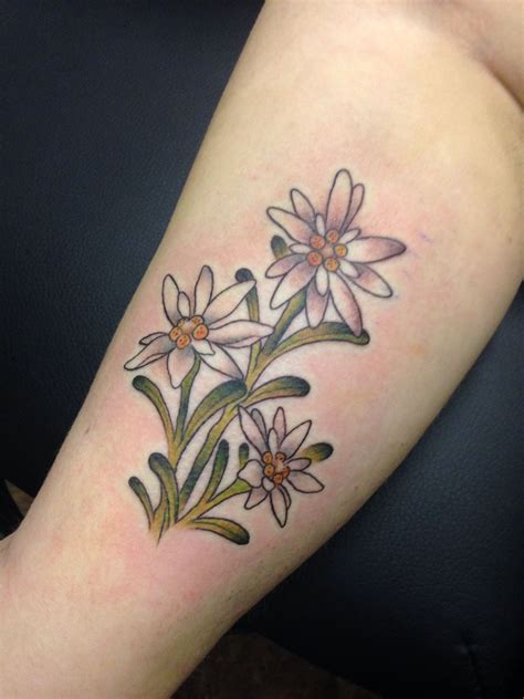 edelweiss | Edelweiss tattoo, Tattoos, Flower tattoo arm