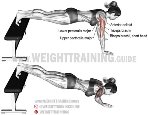 Pin on chest workout