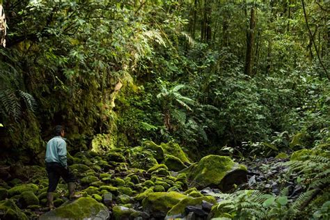 Climb Mt. Kerinci | Gunung Kerinci -The Highest Volcano in Southeast Asia