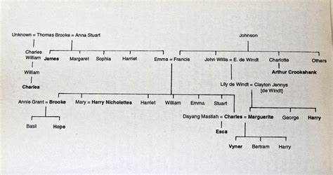 The Story of Sarawak: The Brooke Family Tree