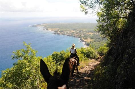 Tours & Tickets - Kalaupapa National Historical Park - Book Now - Viator