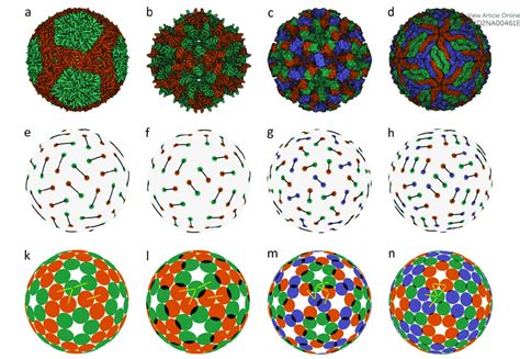 Capsid structures from PDB: (a) Bacteriophage ϕ6 (4BTQ) (Cystoviridae ...