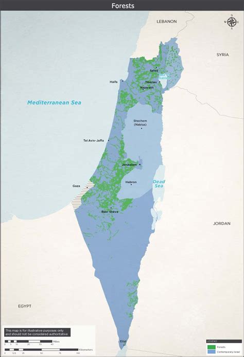 Israel's Forests | Ministry of Foreign Affairs