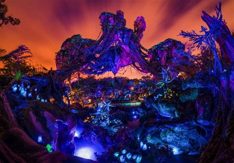 Ultimate Guide to Pandora - World of Avatar - Disney Tourist Blog