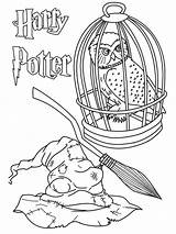 Printable Harry Potter coloring Page  Download Print Or Color Online sketch template