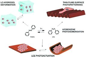 Azobenzene-based polymers: emerging applications as cell culture platforms - Biomaterials ...