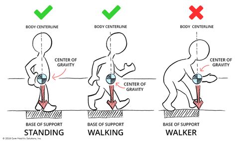 Where is your Center of Gravity? | 30 Minutes of Everything