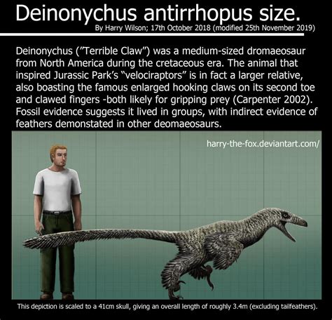 Deinonychus size by Harry-the-Fox on DeviantArt