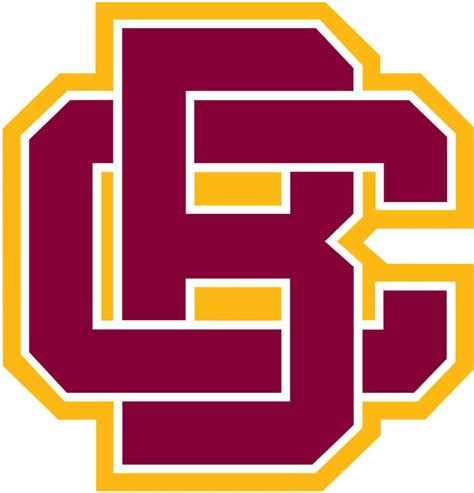 Bethune-Cookman Wildcats Color Codes Hex, RGB, and CMYK - Team Color Codes