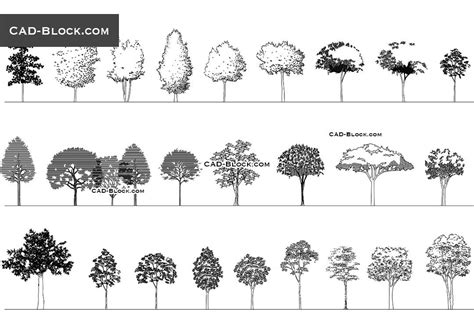 different types of trees are shown in black and white, each with their own shadow