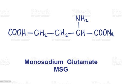 Monosodium Glutamate Msg Chemical Structure Vector Illustration Hand Drawn Stock Illustration ...