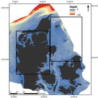 1: Examples of benthic (a) epifauna and (b) infauna. Visible epifauna... | Download Scientific ...