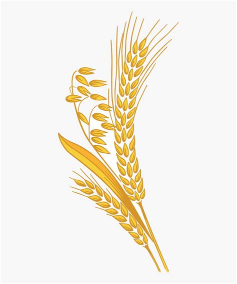 Wheat Rice Grain Clipart Free Images Transparent Png - Transparent Wheat Grain Png, Png Download ...