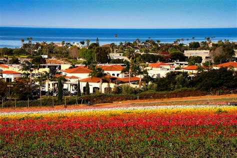 6 San Diego Suburbs With The Best Downtowns | Neighborhoods.com | neighborhoods.com