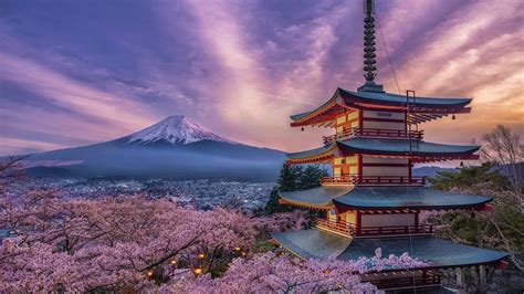 Mount Fuji Cherry Blossoms HD Wallpaper