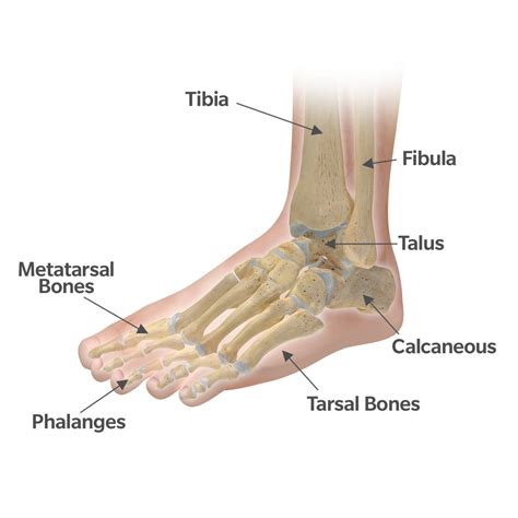 What’s Causing My Foot and Ankle Pain?