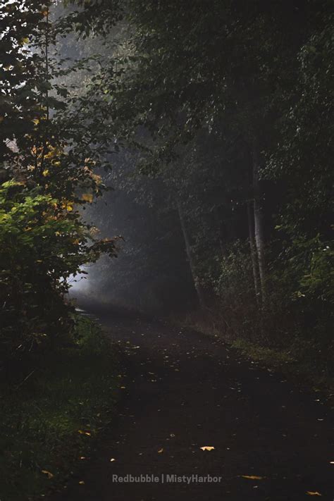 Foggy Forest Pathway | Photography | Foggy forest, Forest path, Nature ...