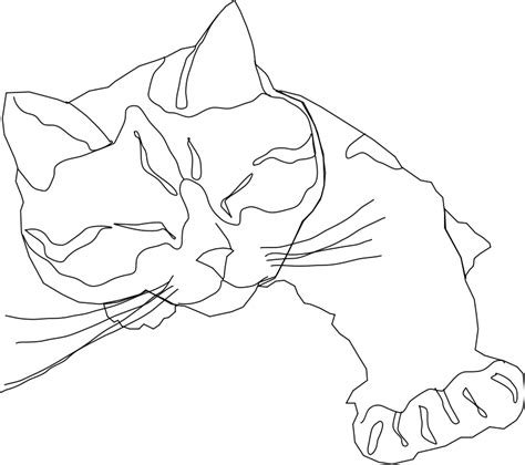 calico cat coloring page - Clip Art Library