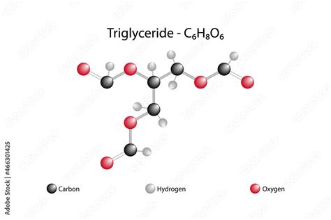 Vettoriale Stock Molecular formula of triglyceride. Triglyceride is an ...