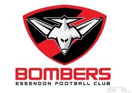 bombers | Essendon football club, Sport team logos, Logos branding