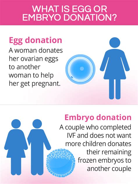 Egg or Embryo Donation | SheCares