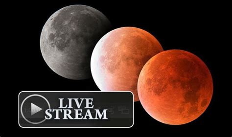 Eclipse 2021 LIVE stream: How to watch the Super Flower Blood Moon ...