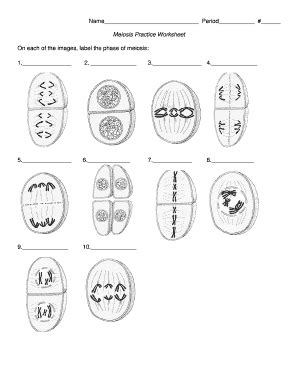 Meiosis Labeling Activity: Complete with ease | airSlate SignNow